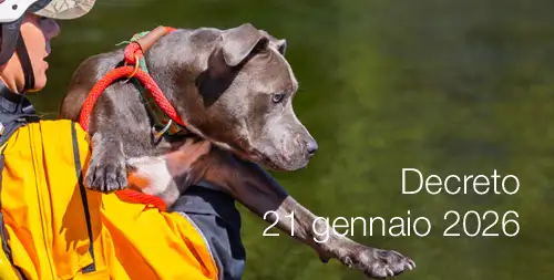 Decreto 21 gennaio 2026 